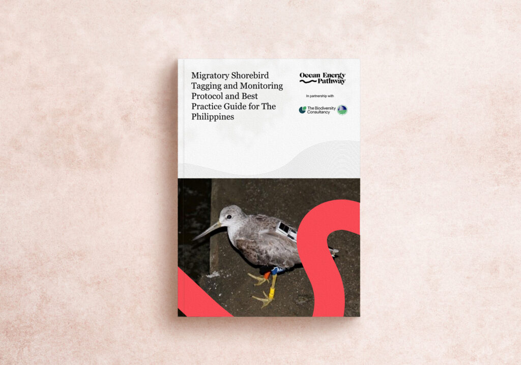 MigratoryShorebird