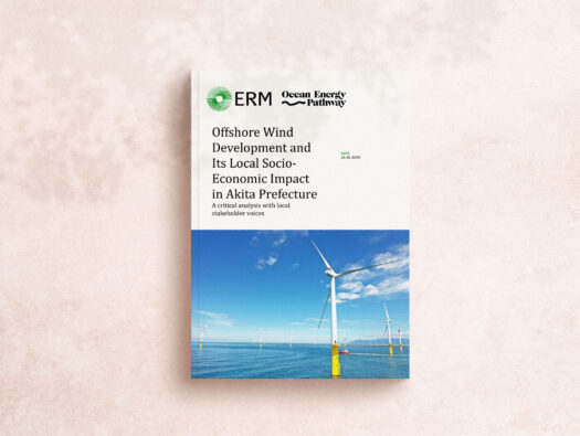 OffshoreWindDevelopment
